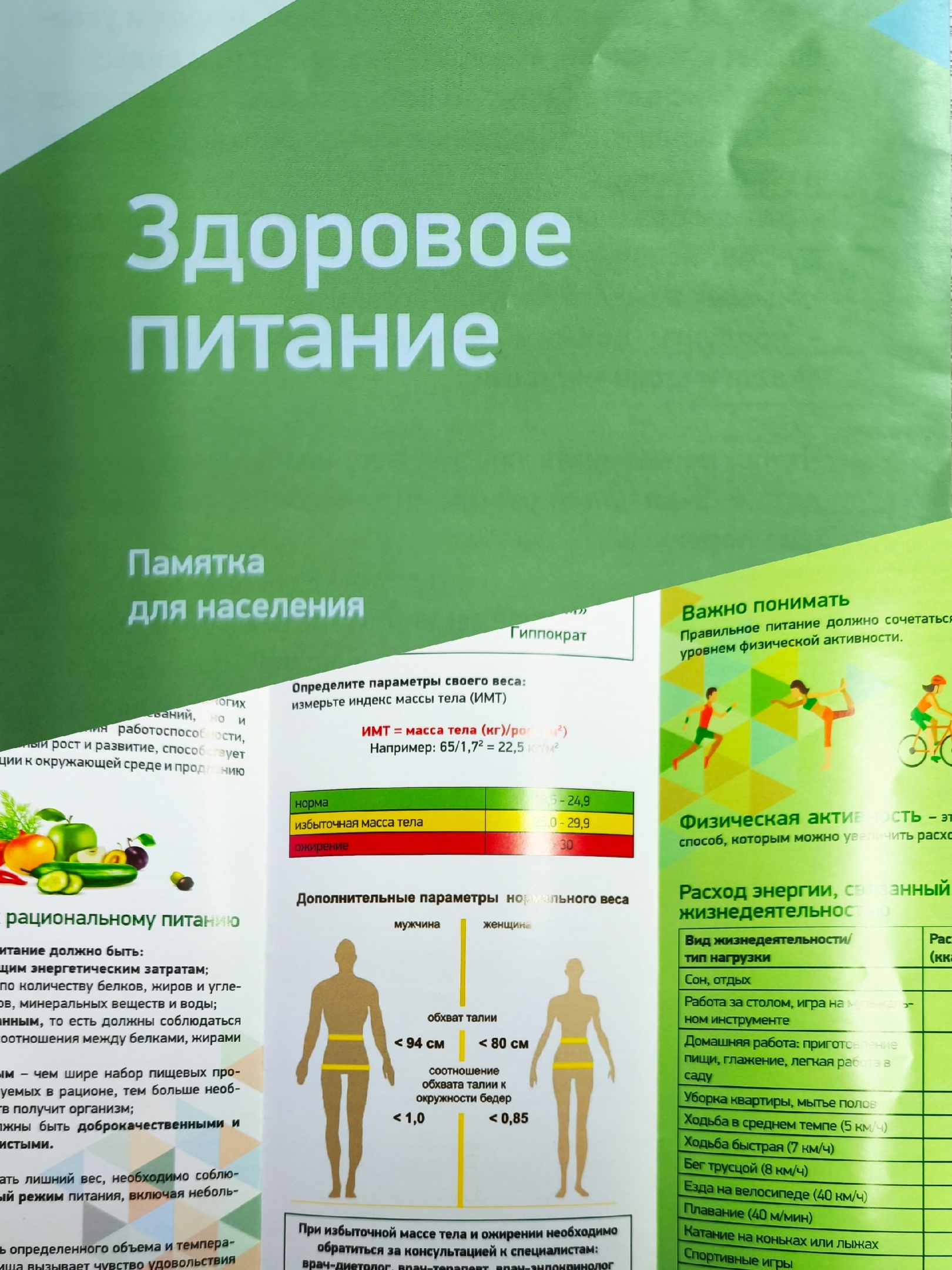 ПРАВИЛА ЗДОРОВОГО ПИТАНИЯ.